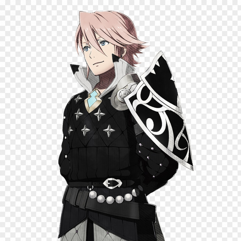 Felicia Fire Emblem Fates Awakening Heroes Palette Swap Nintendo 3DS PNG