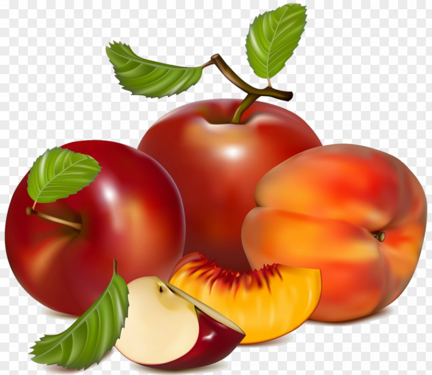 Fruit Apple Royalty-free Clip Art PNG