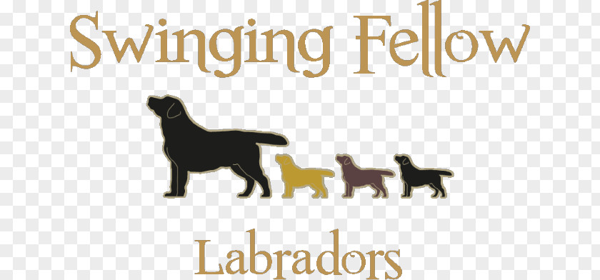 Labrador Dog Breed Puppy Retriever German Shepherd Newfoundland PNG