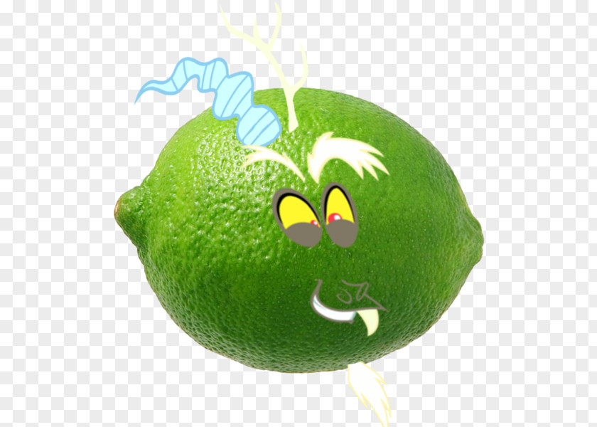 Lime Key Lemon Persian Citron PNG