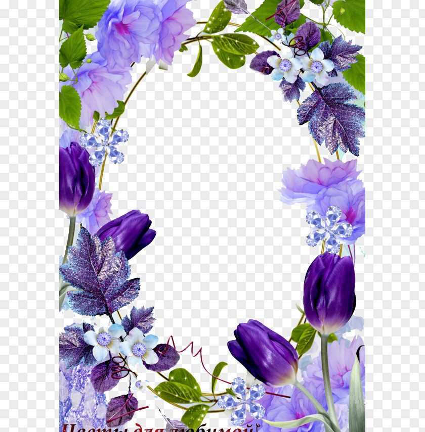 Mood Frame Picture Flower PNG