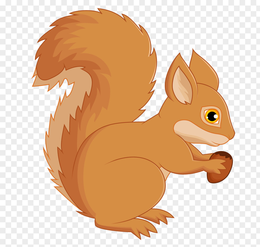 Squirrel Eating Chestnut Tree Squirrels Computer Mouse PNG