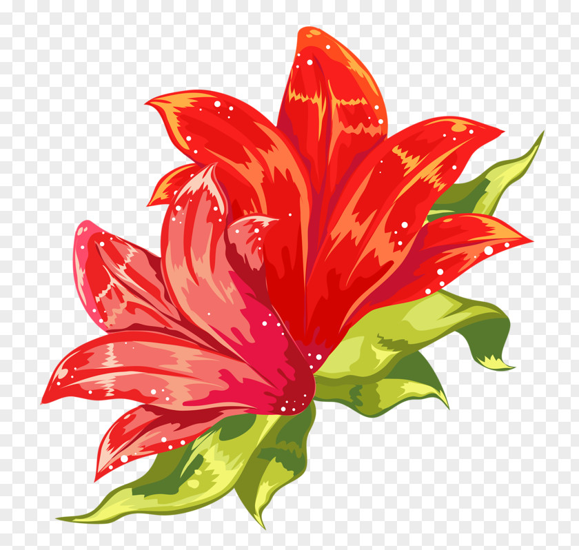 Flower Cut Flowers Plant Clip Art PNG