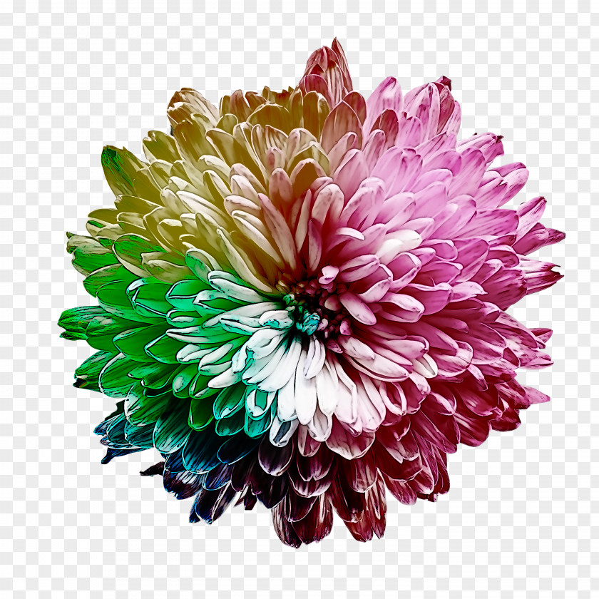 Artificial Flower PNG