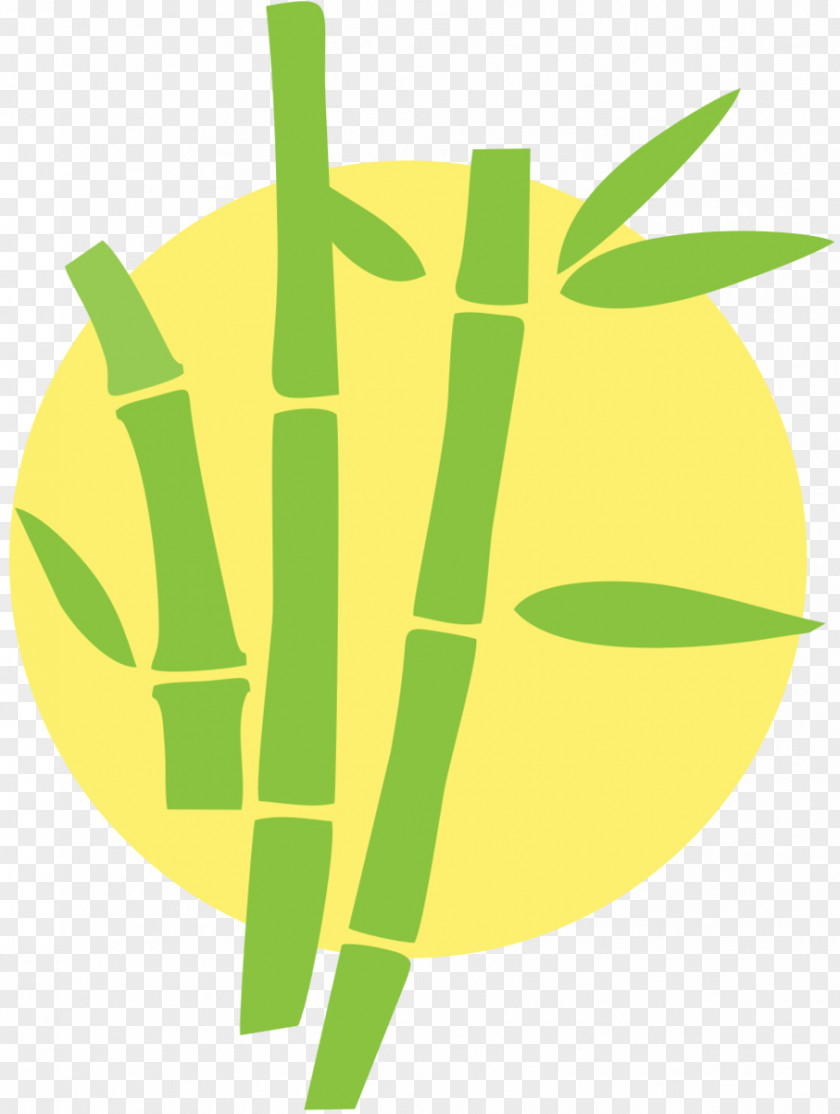 Bamboo Euclidean Vector Investment Giant Panda Author PNG