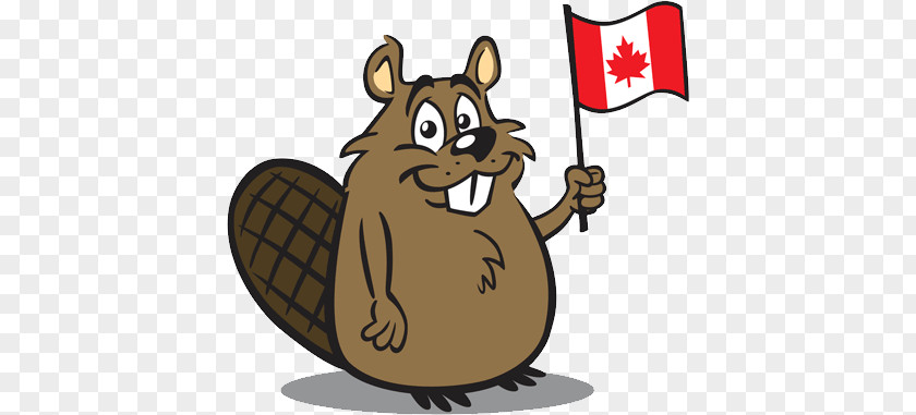 Beaver PNG clipart PNG