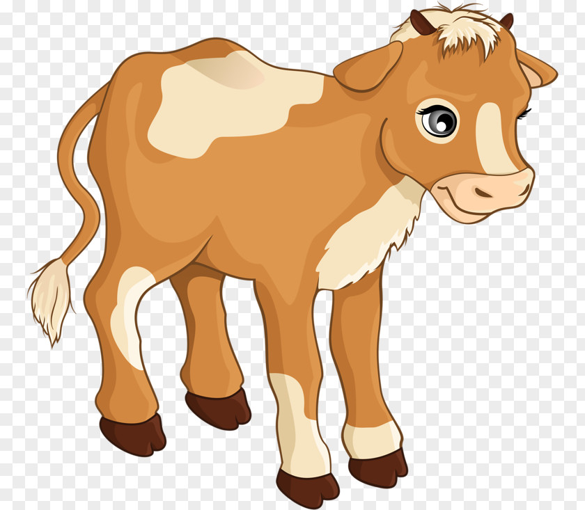 Calf Child Cattle Clip Art PNG
