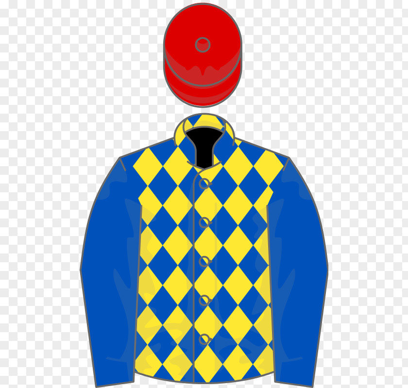 Horse Ascot Racecourse Prix Royal-Oak Champion Stakes Windsor Castle PNG