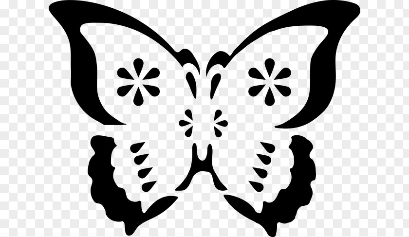 Insect Plant Butterfly Stencil PNG