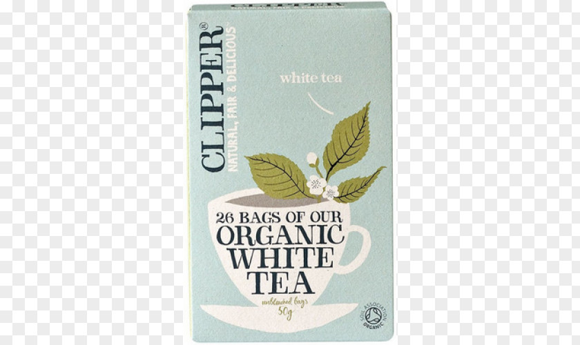 White Tea Organic Food Green Clipper PNG