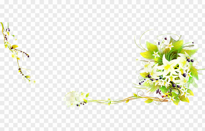 Elegant Lily Lilium Flower PNG