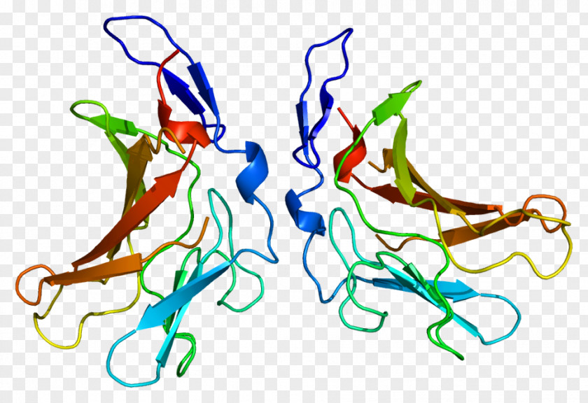 Insulin-like Growth Factor 2 Receptor Mannose 6-phosphate PNG