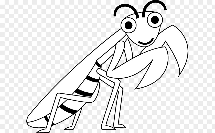 Mantis Black And White Drawing Line Art Clip PNG