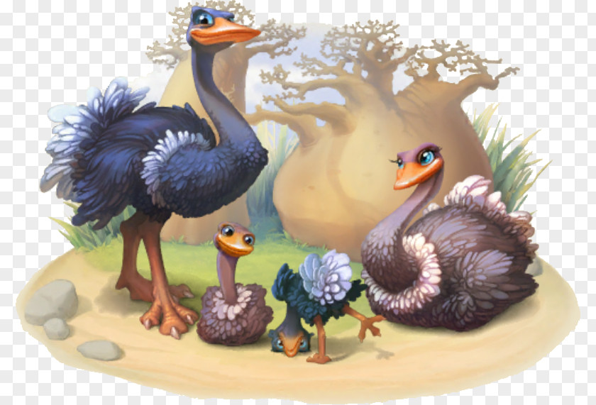 Ostrich Township Common Wikia Bird PNG
