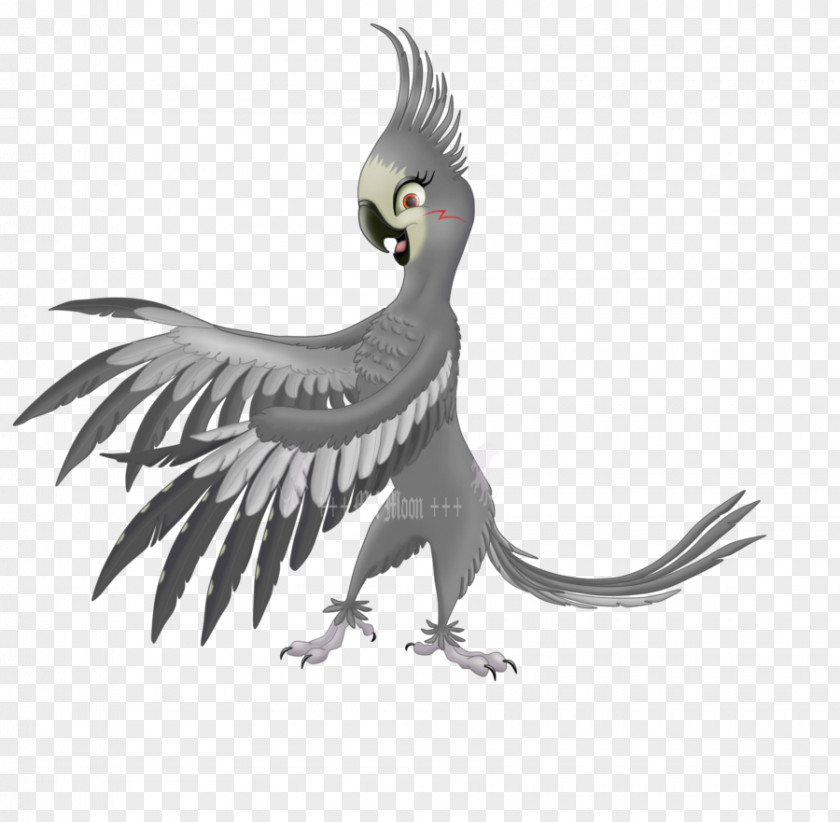 Parrot Normal Grey Cockatiel Rio Fan Art PNG