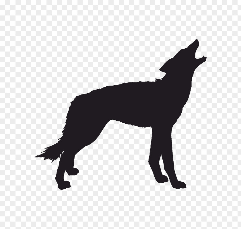 Silhouette Gray Wolf Coyote Clip Art PNG