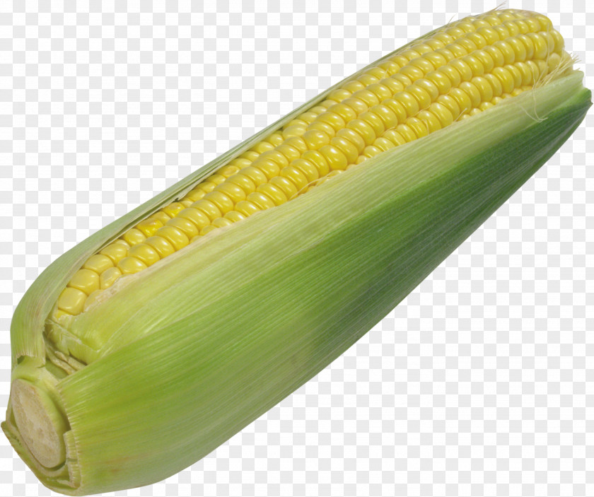 Corn Image Maize Clip Art PNG