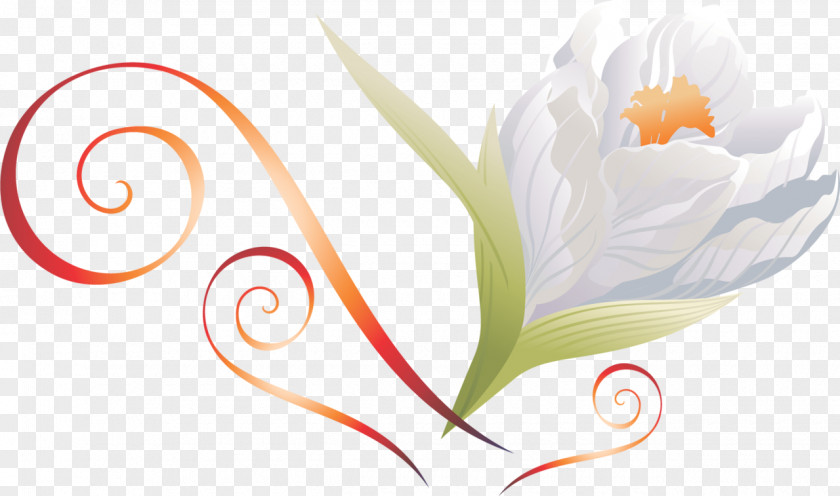 Crocus Flower PhotoScape Clip Art PNG