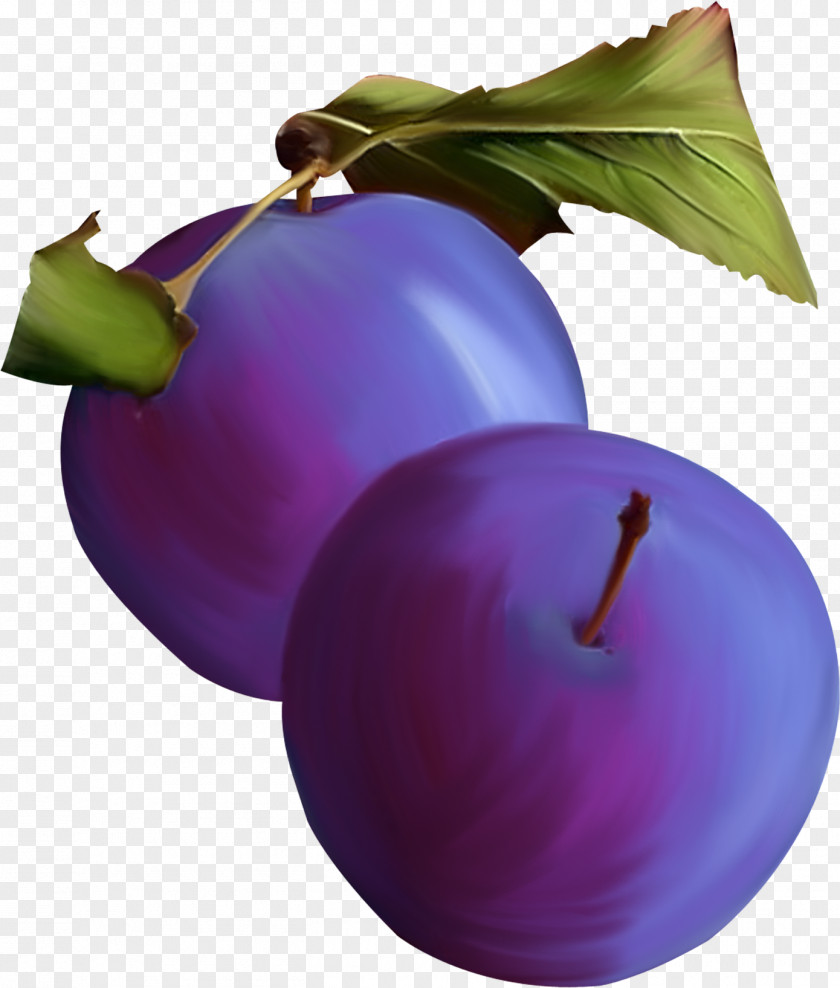 Fruit Food Zwetschge Prune PNG