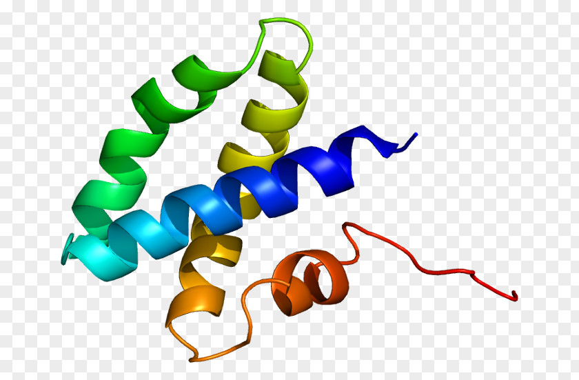 Lysosome Prosaposin Saposin Protein Domain Gene Activator PNG