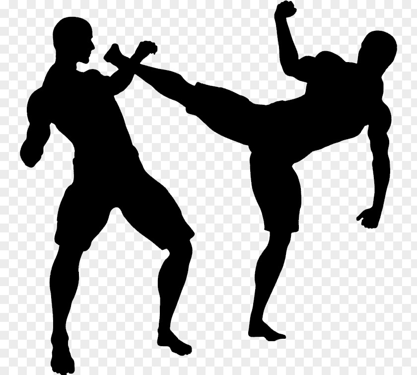 MMA Transparent Image Mixed Martial Arts Karate Self-defense Kick PNG