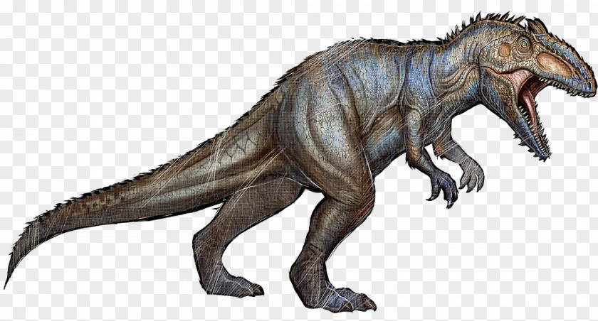 Dinosaur Giganotosaurus ARK: Survival Evolved Spinosaurus Tyrannosaurus Allosaurus PNG