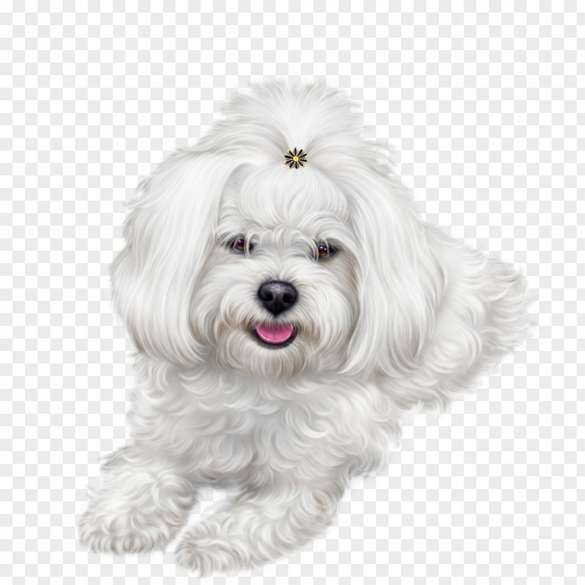 Dog Symbol 0 Clip Art PNG