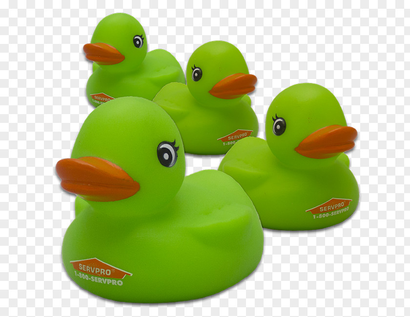 Duck Rubber Natural Baths Toy PNG