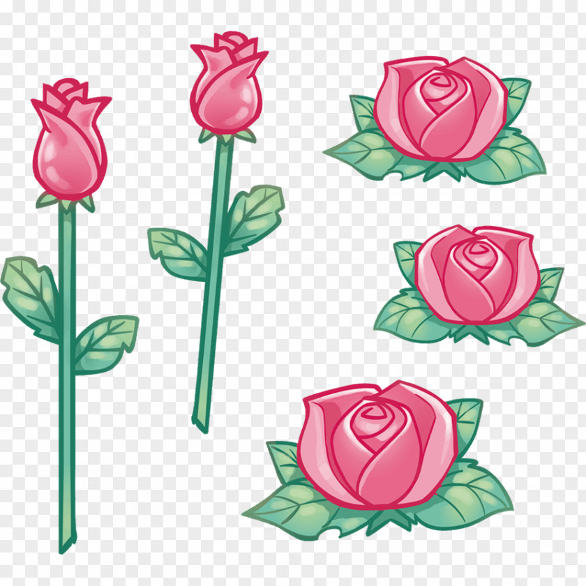 Frida Kalo Garden Roses Cabbage Rose Cut Flowers Sticker PNG