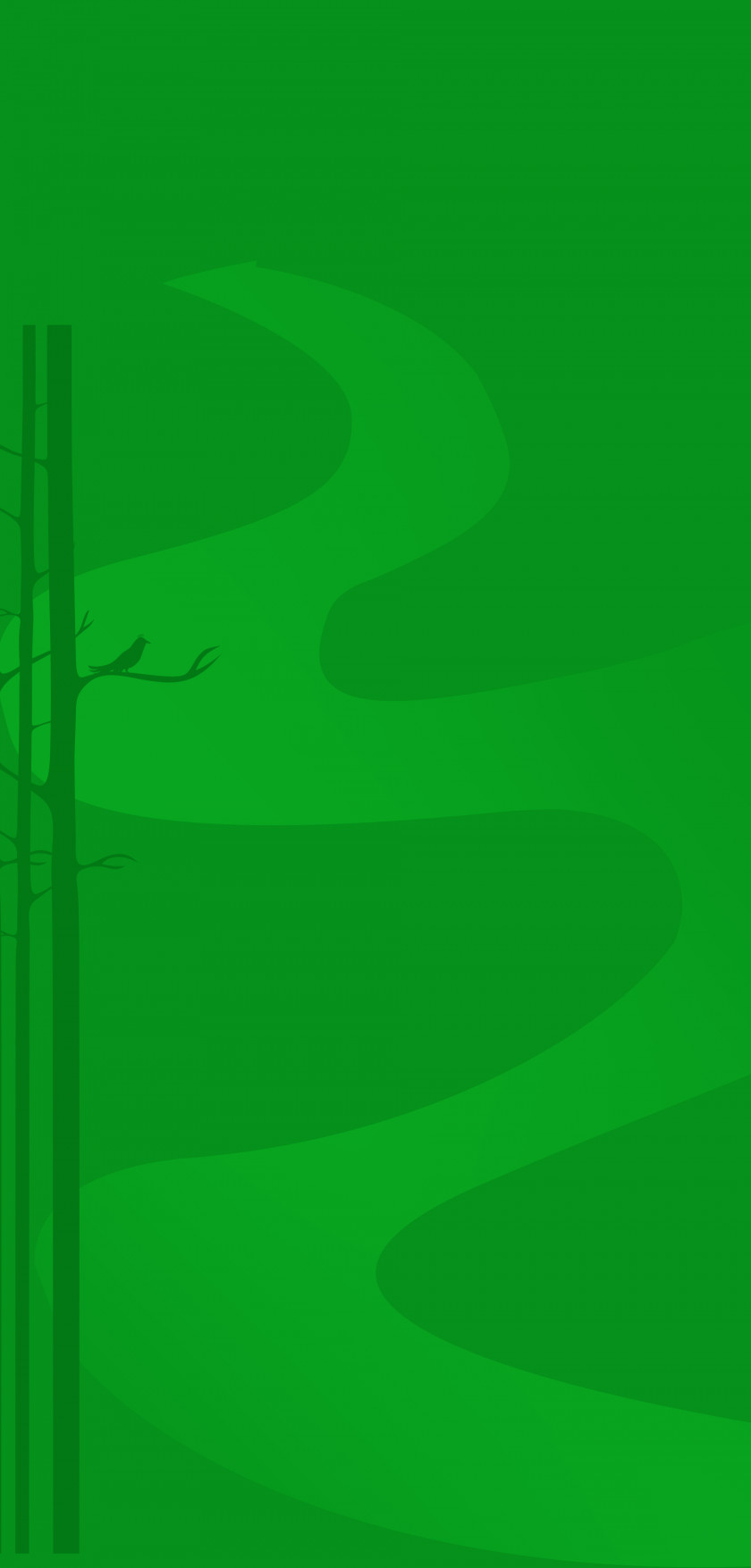 Green Background Wallpaper PNG