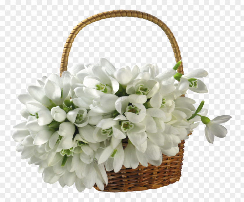 Snowdrop Flower Basket Clip Art PNG