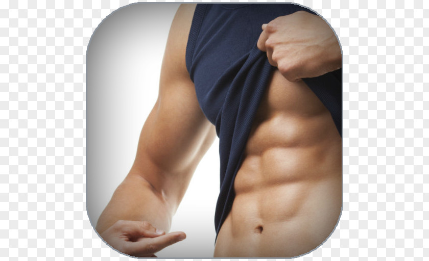 6 Pack Abs Rectus Abdominis Muscle Exercise Physical Strength Crunch PNG