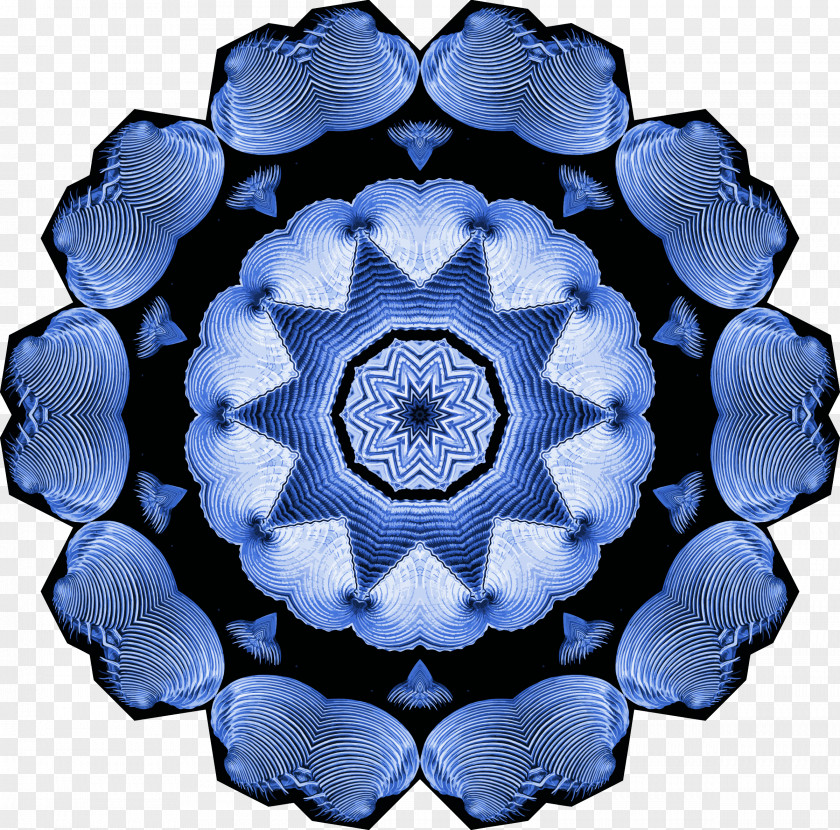 Bivalve Illustration Blue Rose Clip Art Vector Graphics Kapalua Cliff House PNG