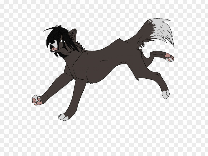 Cat Dog Horse Mammal Tail PNG