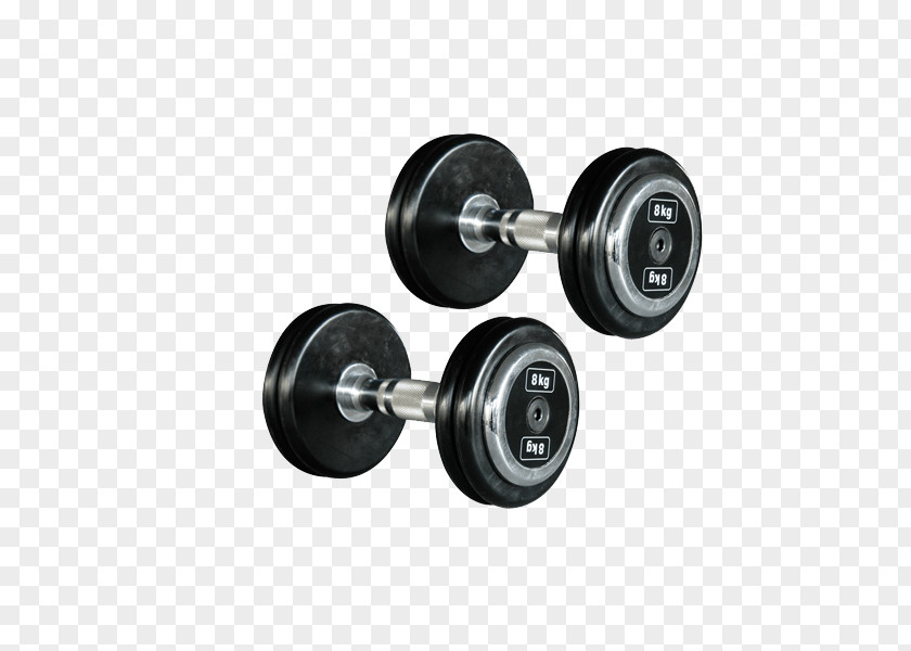 Dumbells Weight Training PNG