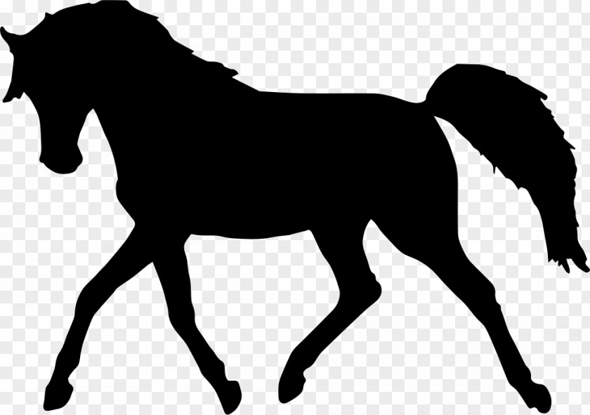 Horse Standing Silhouette Clip Art PNG