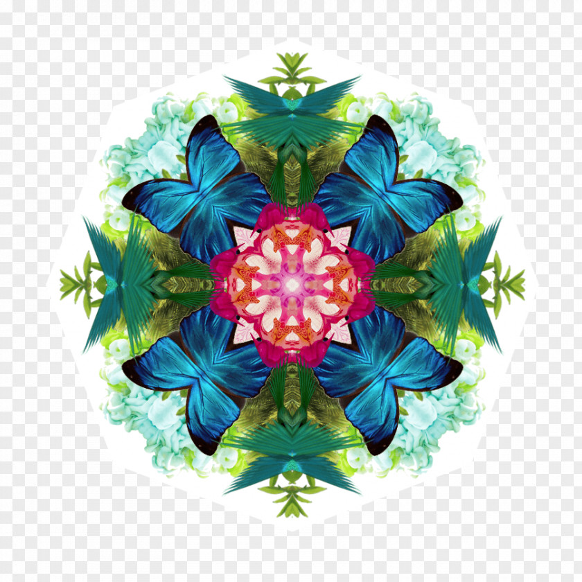 Leaf Petal Kaleidoscope Symmetry Pattern PNG