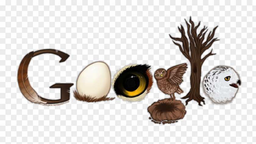 Owl Doodle4Google Bird Google Logo Doodle PNG