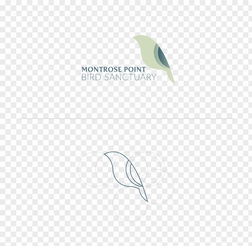 Profusion Logo Feather Green Font PNG