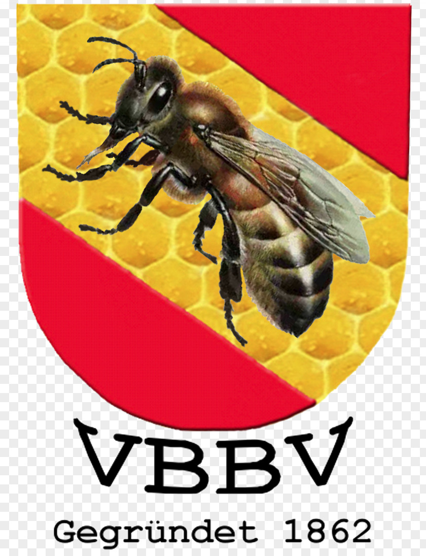 Bern Flyer Honey Bee Bus Download Documentation PNG