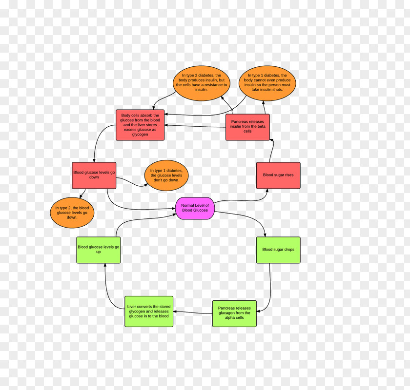 Design Brand Diagram PNG