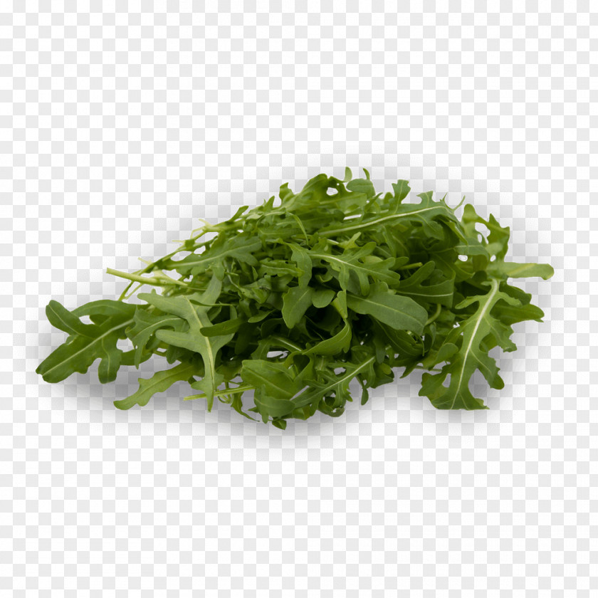 рукола Lettuce Arugula Salad Vegetable Endive PNG