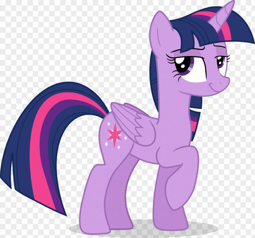 My Little Pony Twilight Sparkle Rarity Pinkie Pie Spike PNG