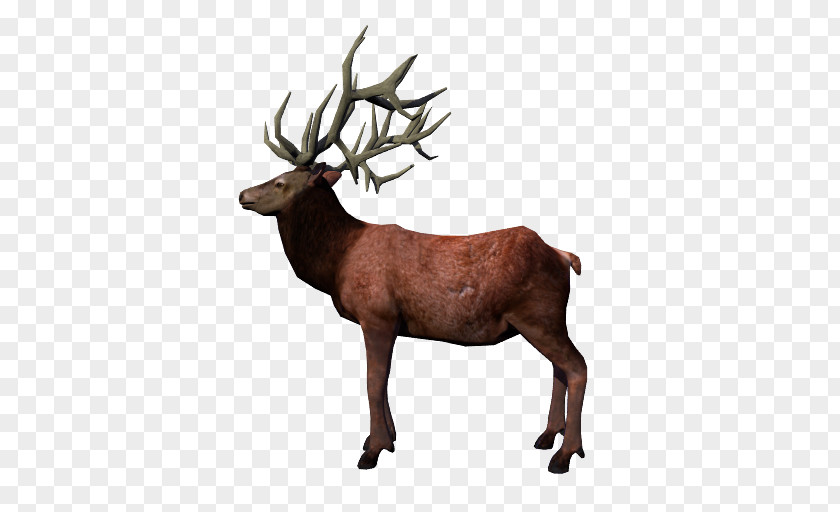 Reindeer Elk Antler Arcane Legends PNG