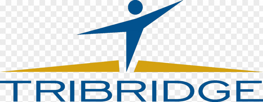 Tri Color Logo Organization Tribridge Brand Business PNG