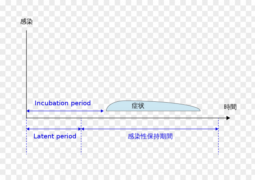 Fullstop Incubation Period Infection Pathogen Document Symptom PNG