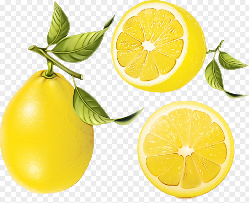 Natural Foods Citrus Persian Lime Lemon Fruit PNG