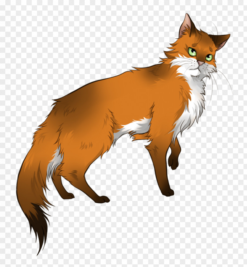Cat Whiskers Foxheart Drawing PNG