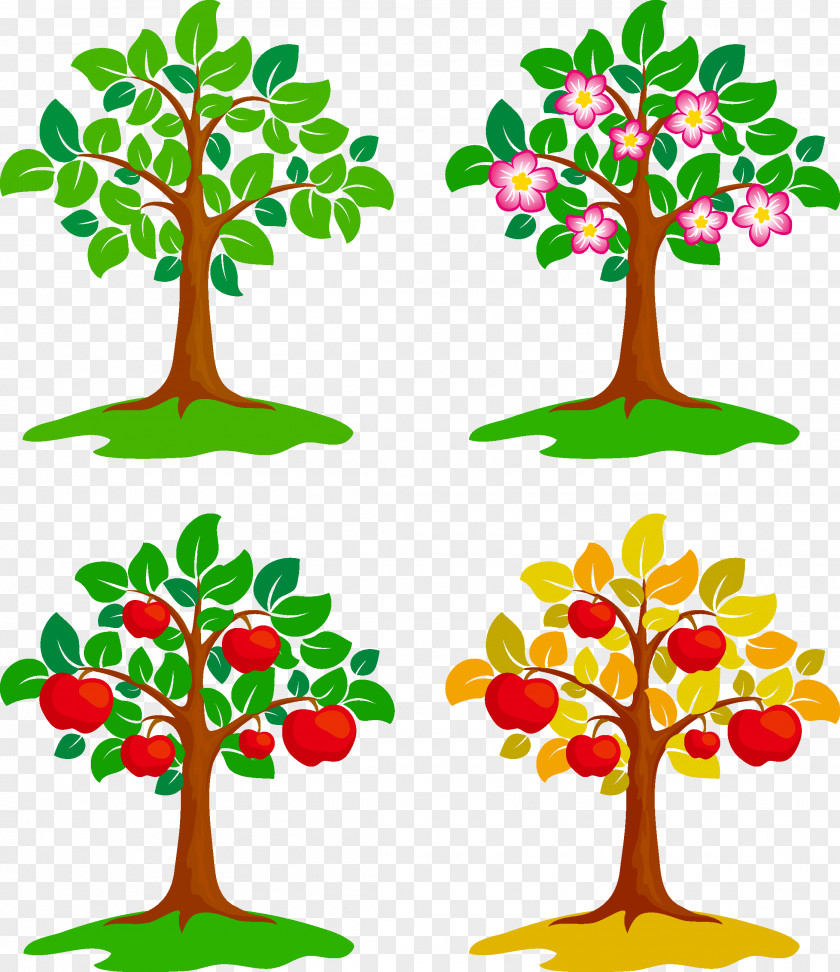 Fruit Trees Drawing Painting Illustration PNG
