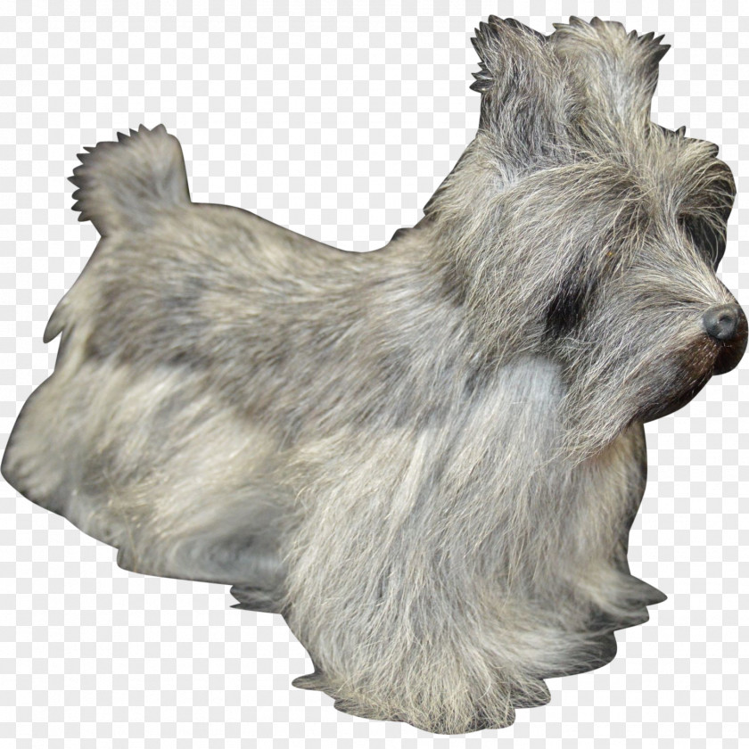 Goat & Sheep Farming Glen Norwich Terrier Skye Cairn Scottish PNG